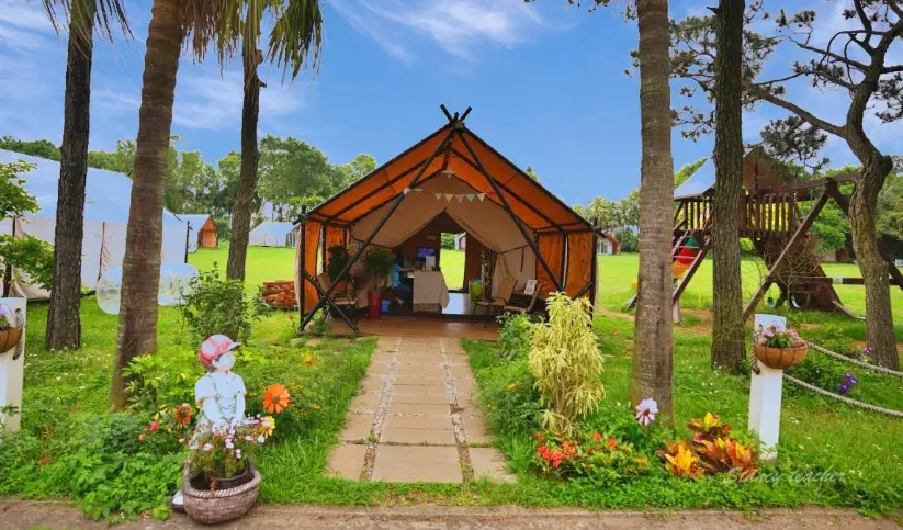 桃園懶人露營一泊二食推薦：免裝備豪華帳篷、美食與星空體驗