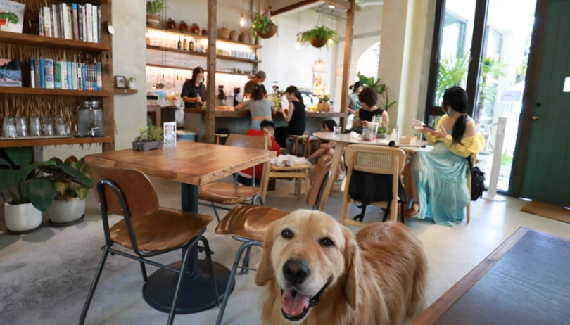 墾丁寵物餐廳 墾丁寵物餐廳