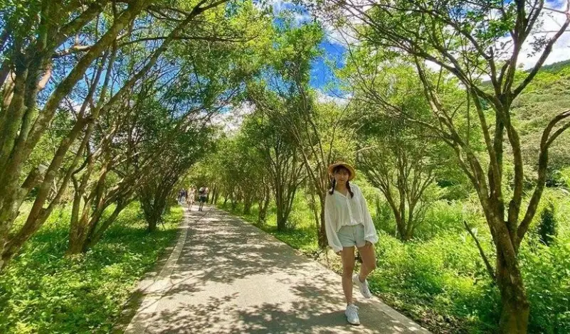 苗栗一日遊不開車