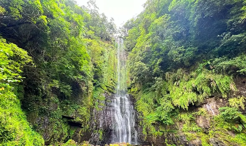 高雄宜蘭行程 高雄宜蘭行程