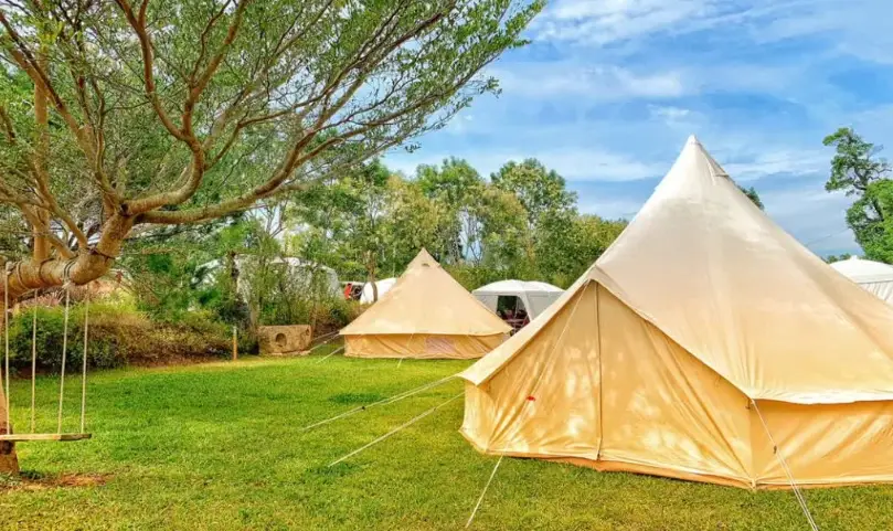 免裝備露營 免裝備露營