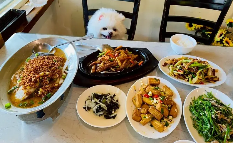 龍潭客家菜推薦