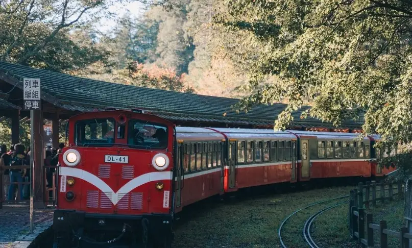 阿里山一日遊行程