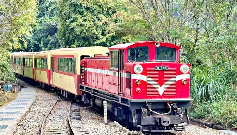 阿里山小火車一日遊