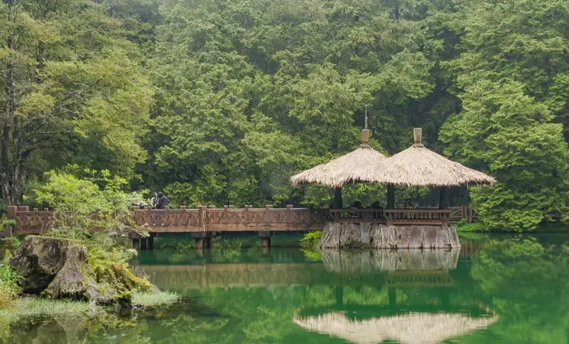 阿里山一日遊行程