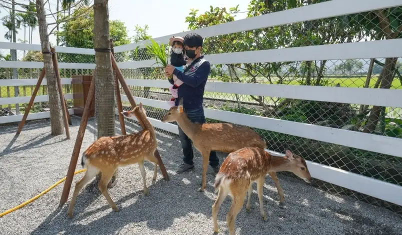 宜蘭農場親子遊