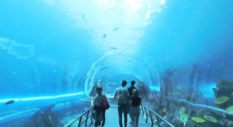 墾丁自由行規劃 墾丁自由行規劃