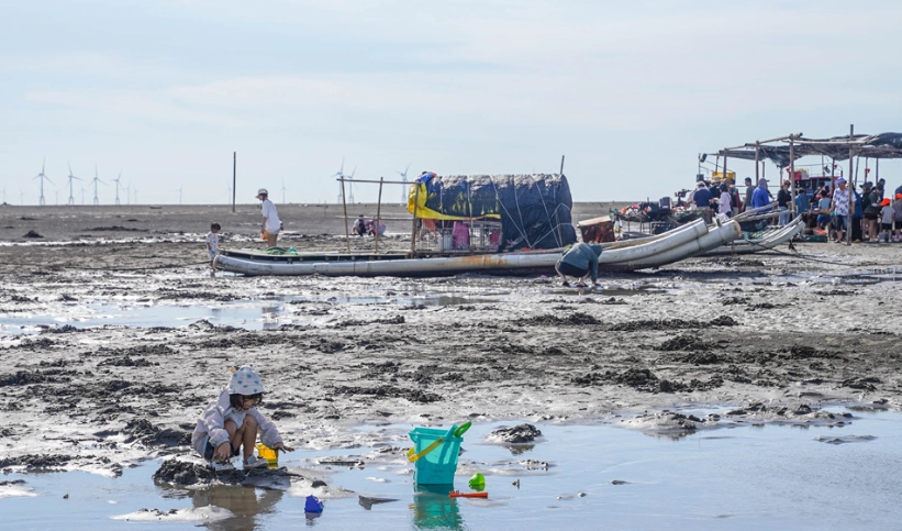 漢寶濕地挖蛤蜊 漢寶濕地挖蛤蜊