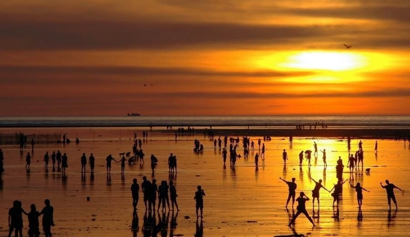 台北無車族一日遊