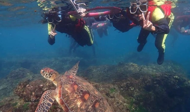 小琉球三天兩夜 小琉球三天兩夜