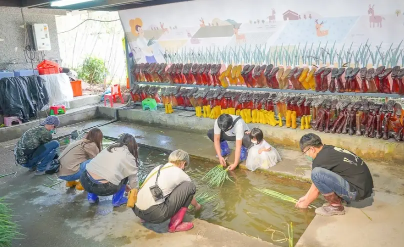 宜蘭休閒農場釣魚體驗