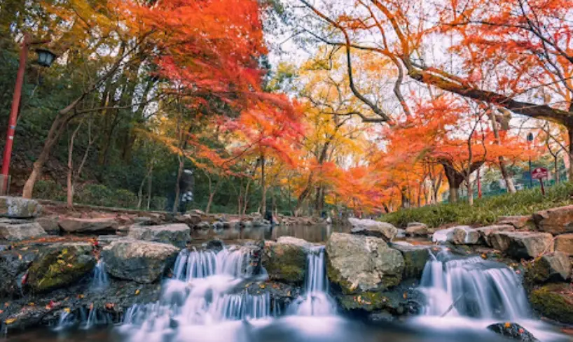 杭州自由行攻略