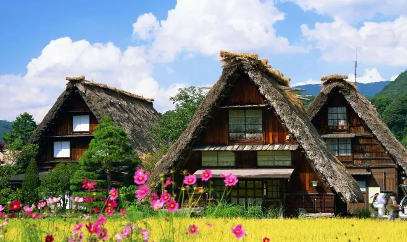 金澤一日游 金澤一日游