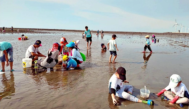 漢寶濕地挖蛤蜊 漢寶濕地挖蛤蜊