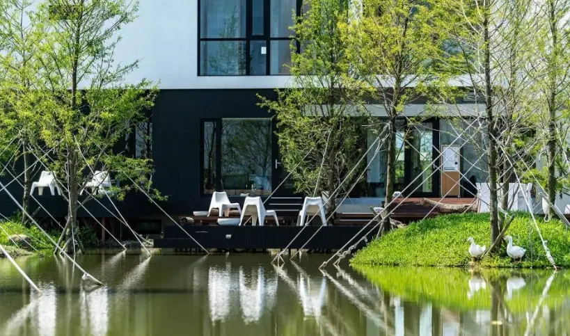 宜蘭落羽松民宿