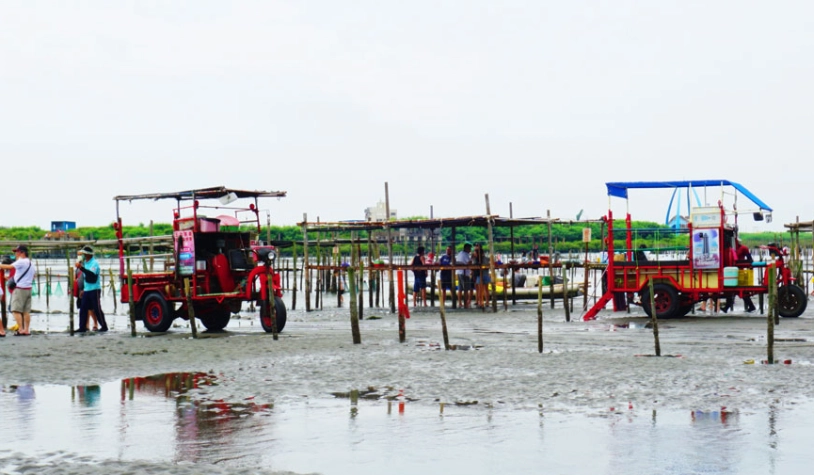 彰化挖蛤蜊地點全攻略：潮汐時間、必備工具與私房景點一次看