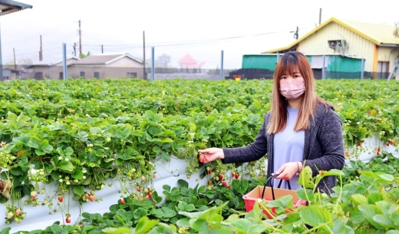 苗栗公車一日遊 苗栗公車一日遊