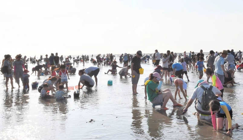 王功潮間帶 王功潮間帶