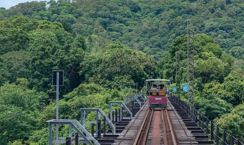 苗栗大眾運輸一日遊攻略：輕鬆玩遍三義木雕與卓蘭果園