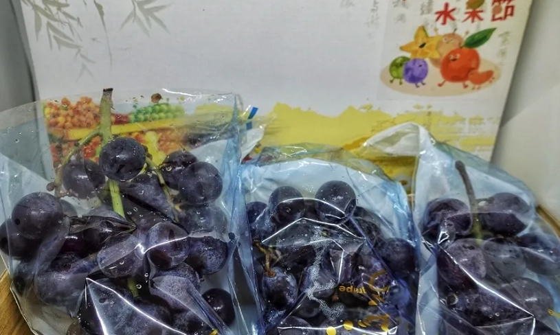 苗栗客運旅遊 苗栗客運旅遊