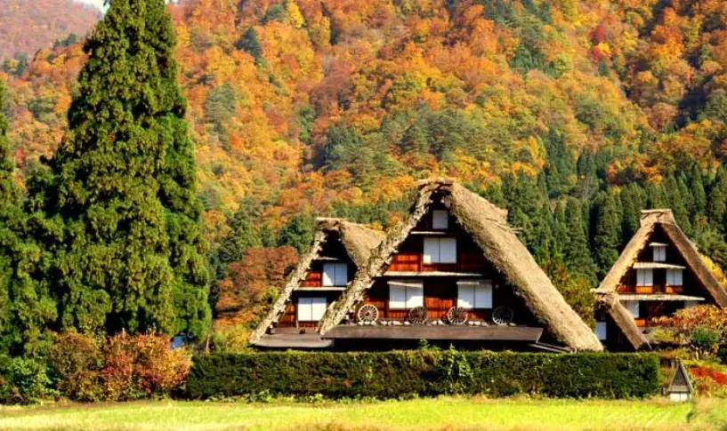 金澤旅游攻略 金澤旅游攻略