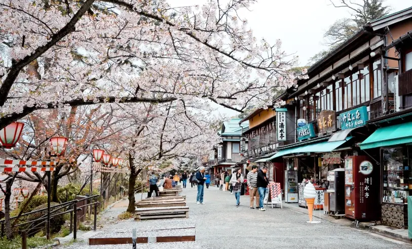 金澤旅游攻略 金澤旅游攻略