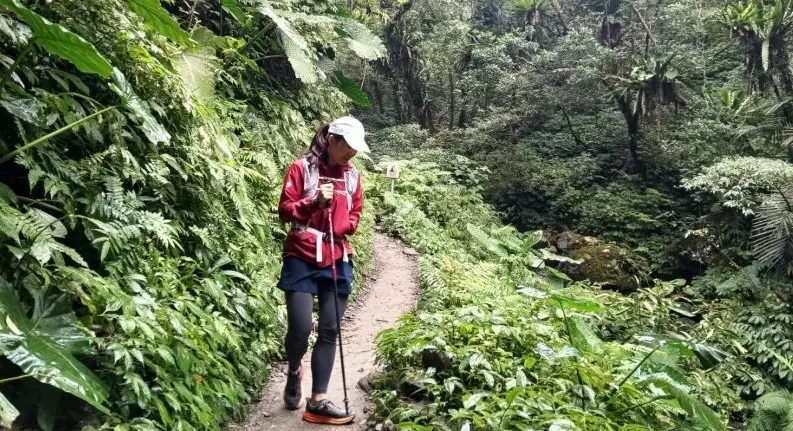 台北寵物友善步道
