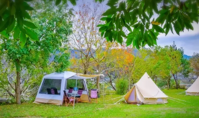 黃金梯田露營地 海拔