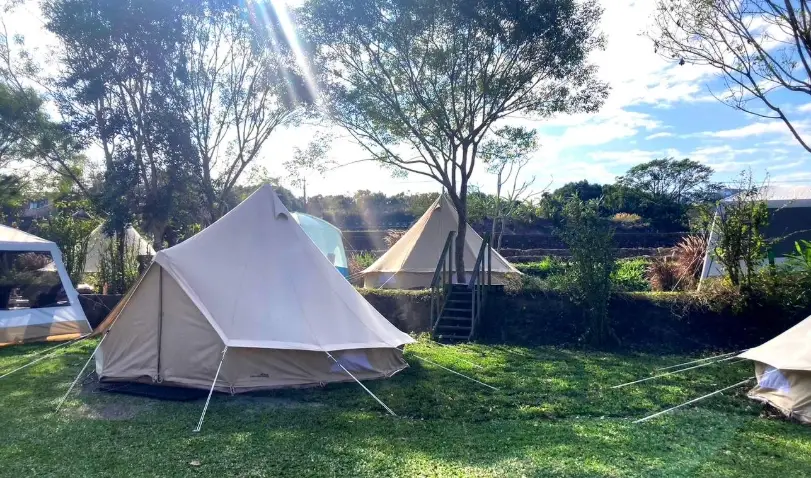 黃金梯田露營地 評價