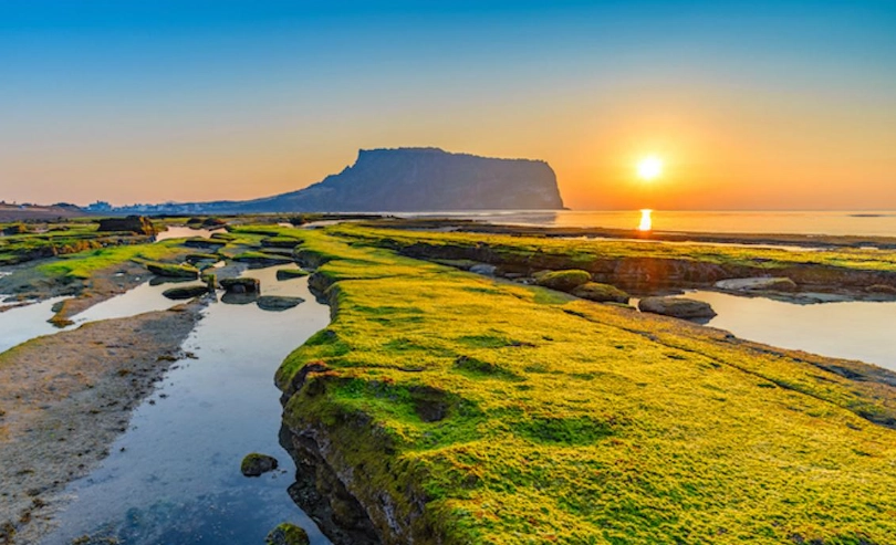 濟州島旺季時間