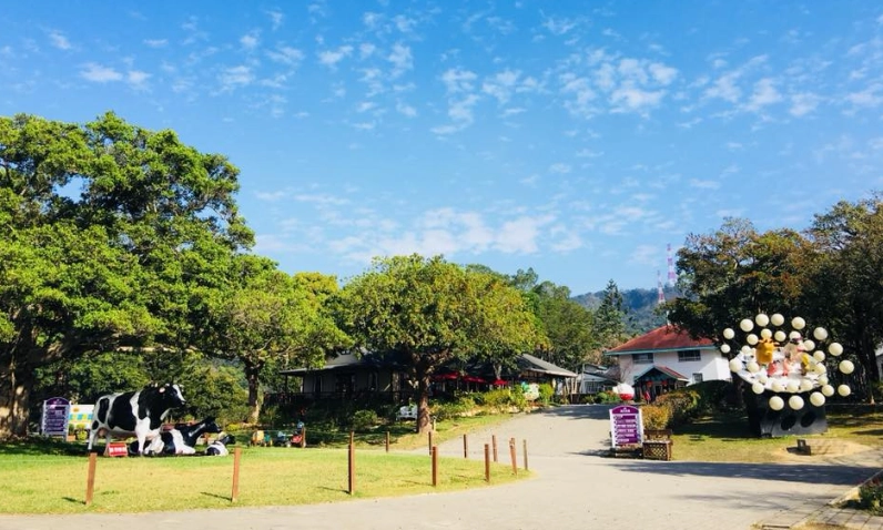 苗栗親子露營 苗栗親子露營