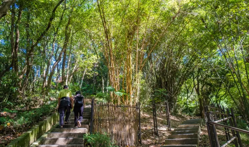 桃園親子步道 桃園親子步道