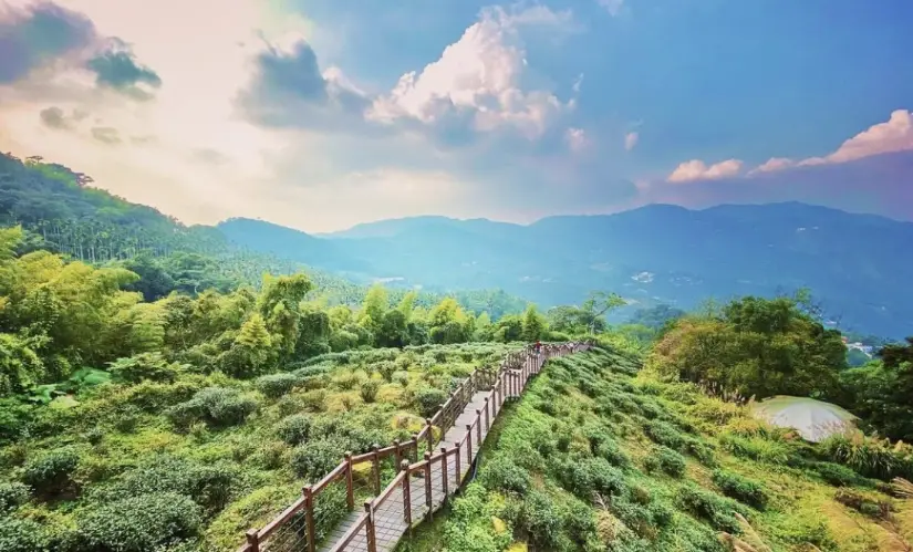 阿里山兩天一夜