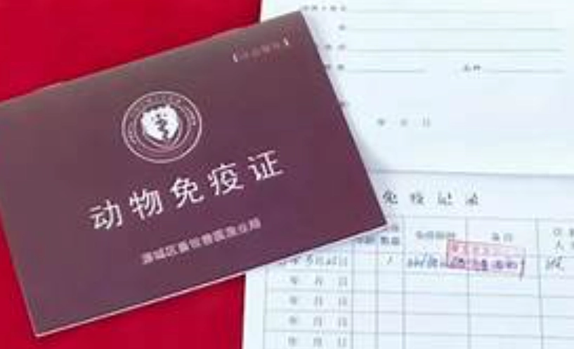 動物檢疫合格證明 動物檢疫合格證明