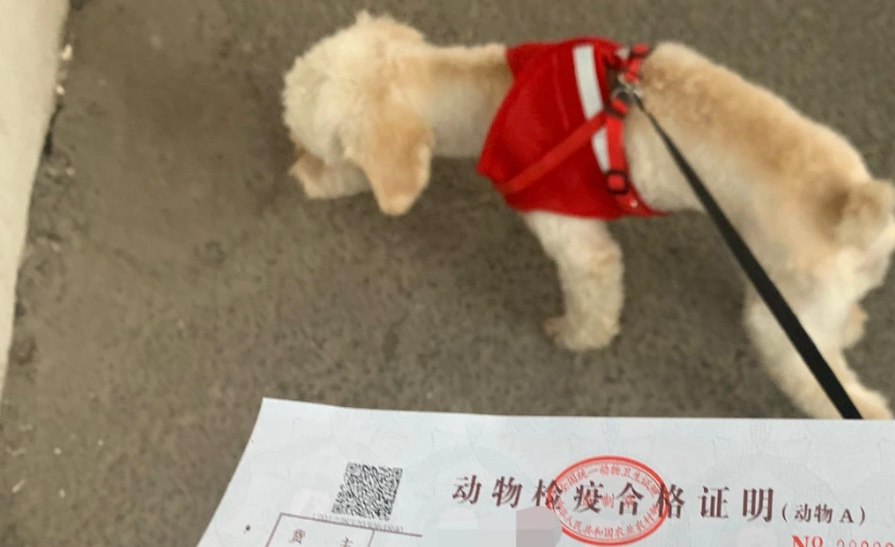 动物检疫合格证明