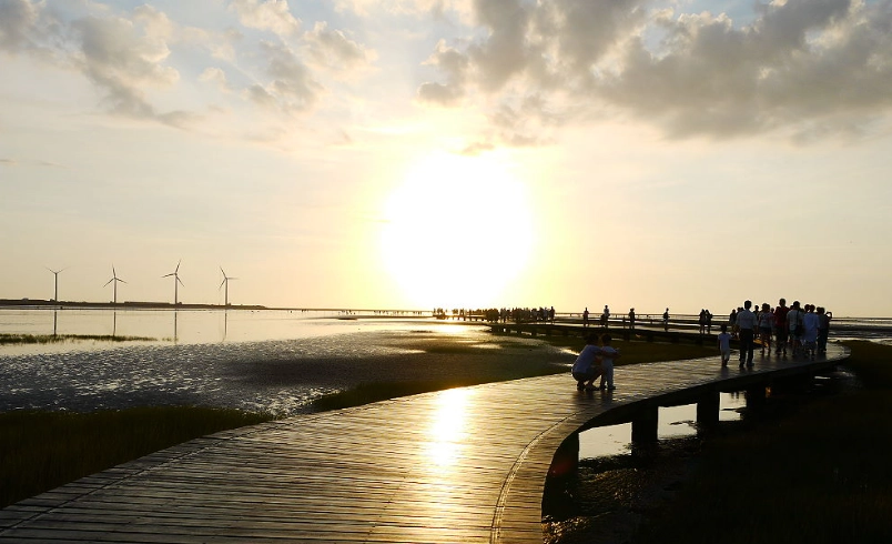 高美濕地交通 高美濕地交通