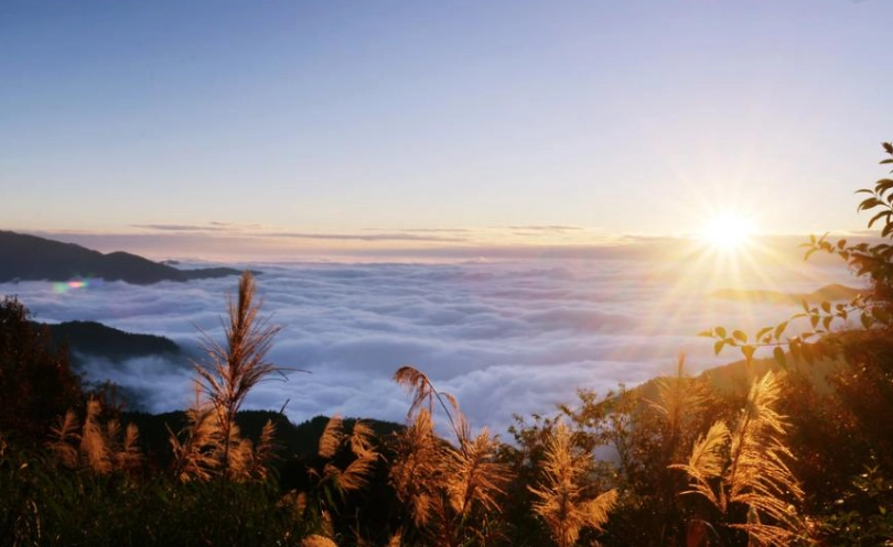 阿里山兩天一夜