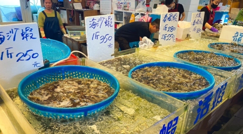 高美濕地交通 高美濕地交通