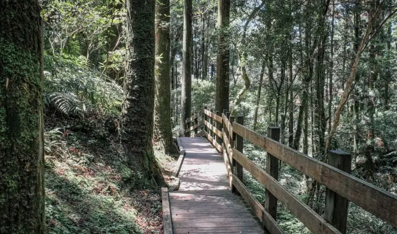 桃園親子步道 桃園親子步道