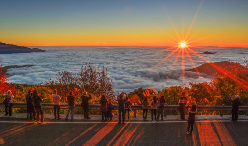 阿里山森林遊樂區