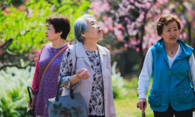 嘉義無障礙景點