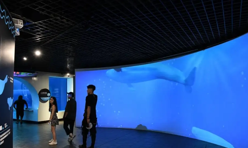 高雄親子室內景點