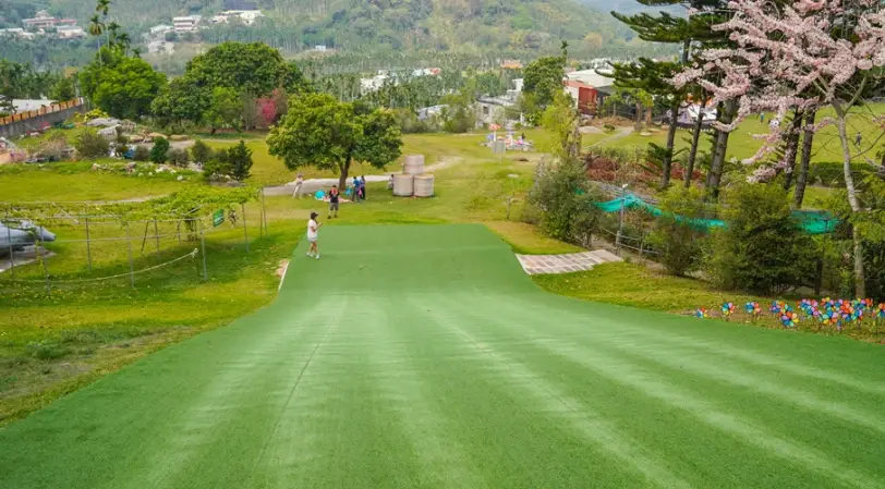 中坑滑草場
