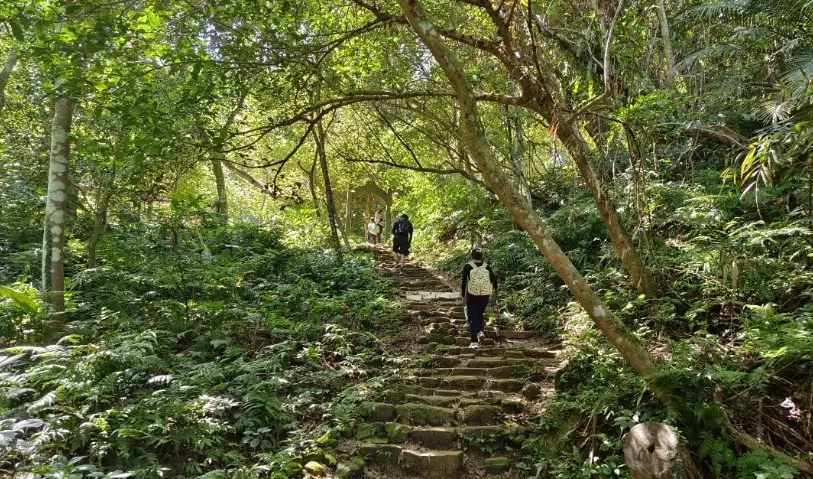 桃園親子步道 桃園親子步道