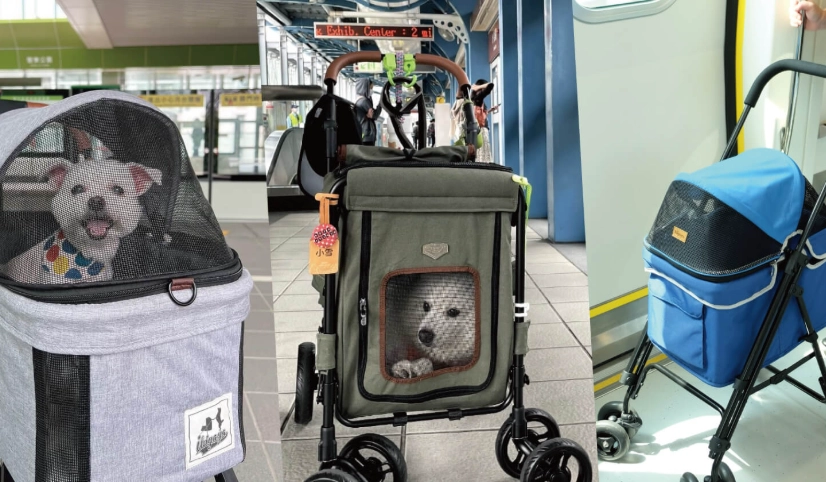 帶寵物坐高鐵 帶寵物坐高鐵