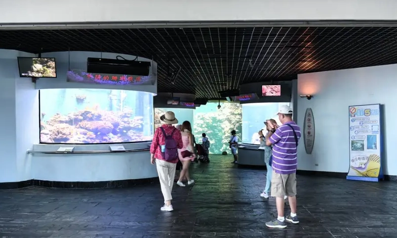 台南親子室內景點