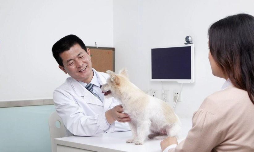 出國寵物健康證明 出國寵物健康證明