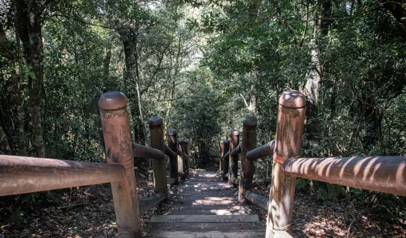 桃園健行步道 桃園健行步道