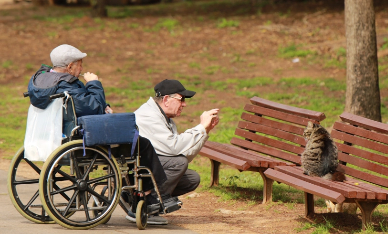 嘉義輪椅旅遊 嘉義輪椅旅遊