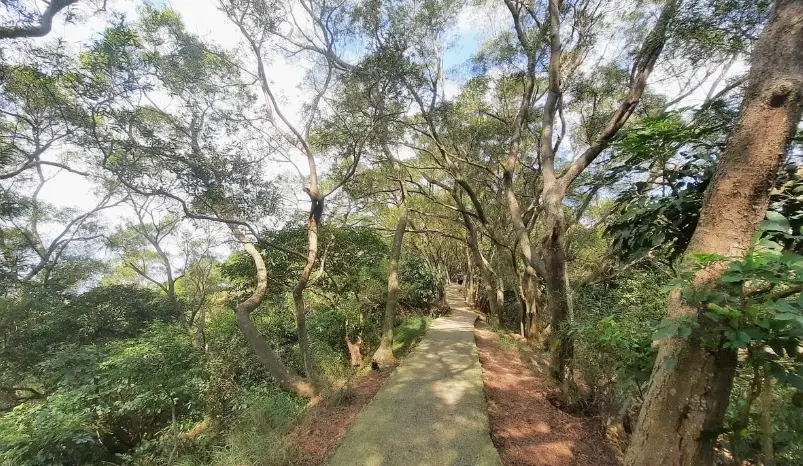 桃園健行步道 桃園健行步道